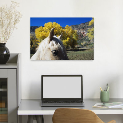 Horse's eyes and ears autumn colour cottonwood trees San Diego Canyon Jemez Mountains New Mexico USA 1 Piece Wrapped Canvas Wall Art