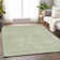 Machine Washable Indoor/Outdoor Claudian ACN1227 Mint Rug