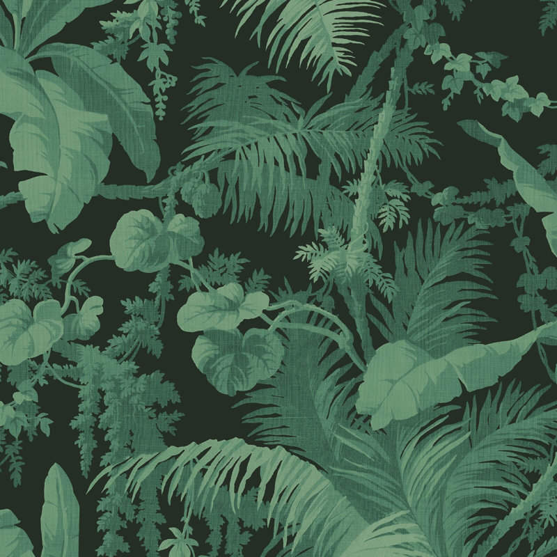 Pampas 9.84' L x 70.87" W Wallpaper Roll, Noir