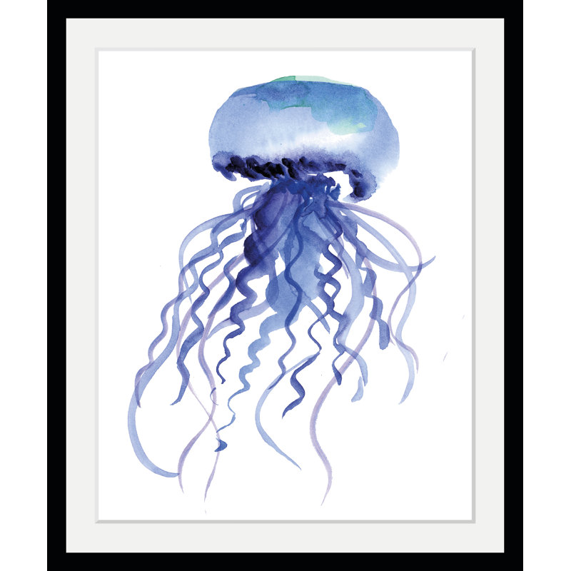 Jellyfish - Single Picture Frame Print