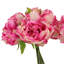 Peony Bouquet Bundle (Set of 2)-616590431