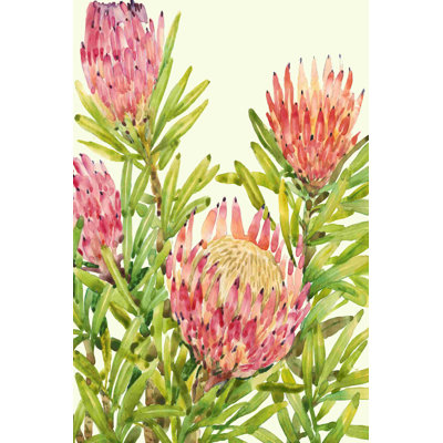 Aquarelle de fleurs tropicales II