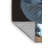 Washable Russian White Cats Area Rug-2059640402