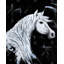 Vue de profil de cheval - Toile de cheval blanc pour la décoration intérieure