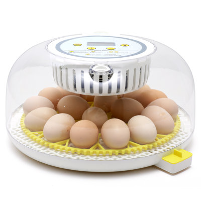 18 Egg Incubator With Automatic Egg Turning, Incubators For Hatching Eggs, Temperature And Humidity Control, Egg Candler, Egg Hatcher Incubator For Hatching Chickens, Birds, Quail Eggs, Ducks, Geese, Pigeons