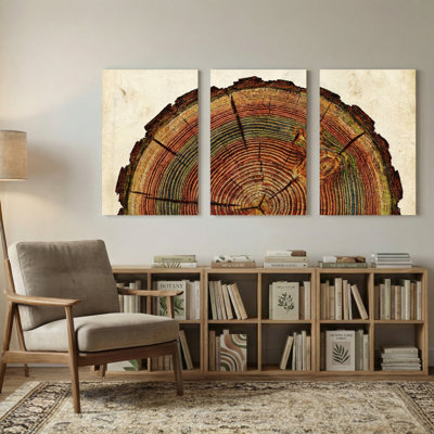 Plants & Flowers Tree Ring Pattern Art Print Canvas Set of 3 Canvas Wall Art Prints
