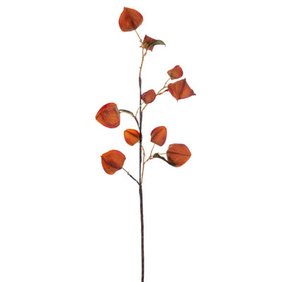 Preserved Faux Floral Arrangement
