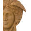 Bust
