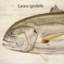 Giant Trevally Print-2057424409