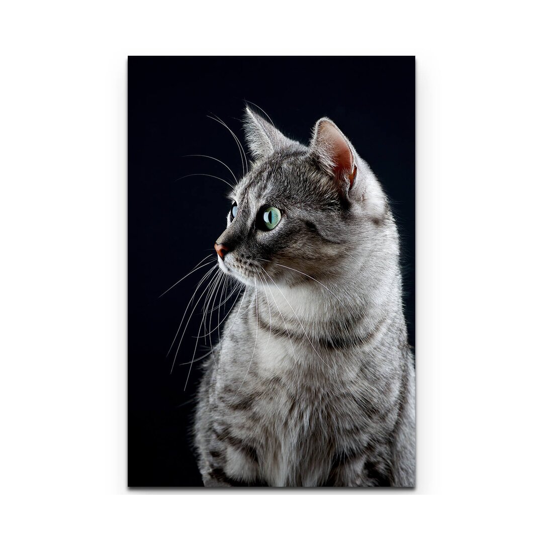 Leinwandbild Katzen Portrait