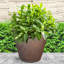 Pot de fleurs d'extérieur rond en polyrésine 24 po x 24 po x 20 po Blough - gris - ensemble de 3-192877318-115291463-115291460