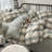 Microfiber Comforter Set-109746873-109746871