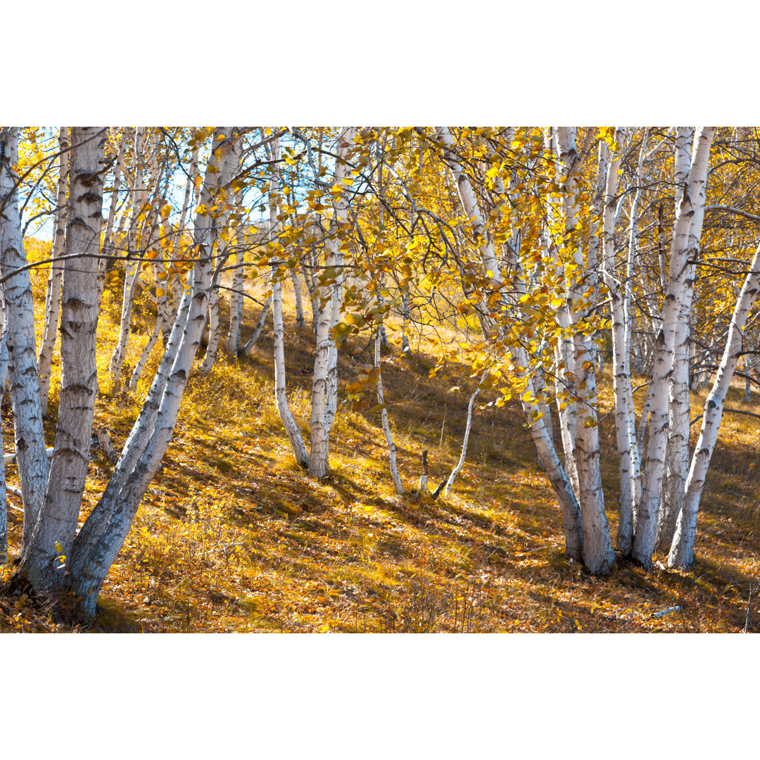 Herbstlandschaft von Chinaface - Wrapped Canvas Set