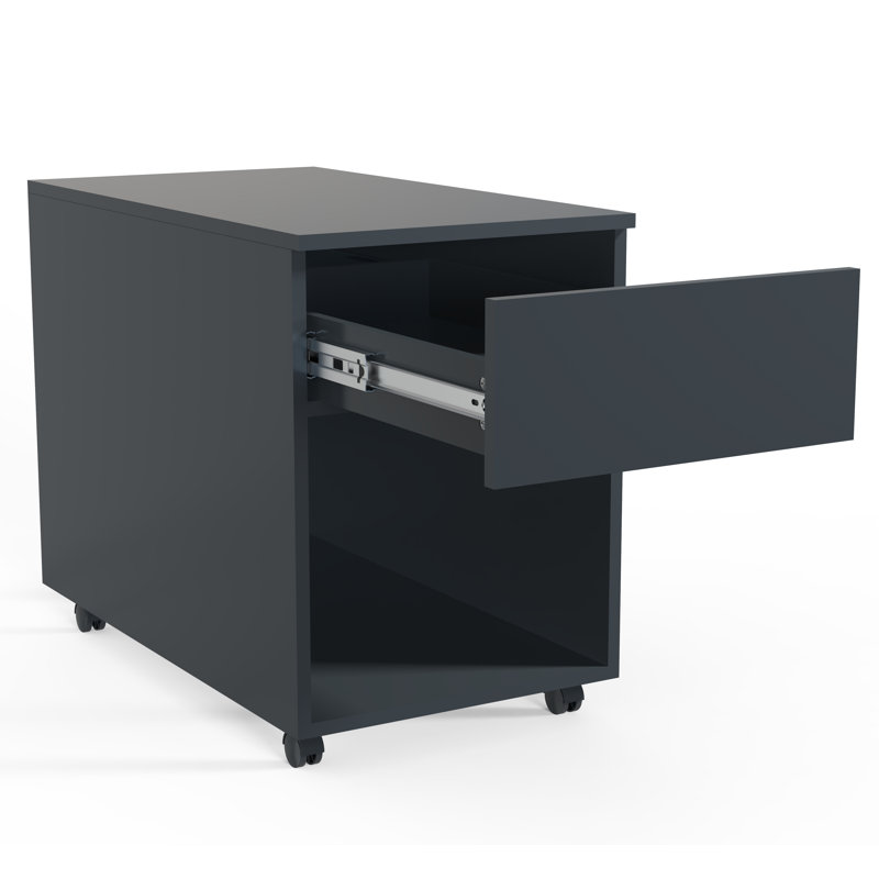 Remedios 39cm Wide File Cabinet, 70cm H x 39cm W x 55cm D, Black