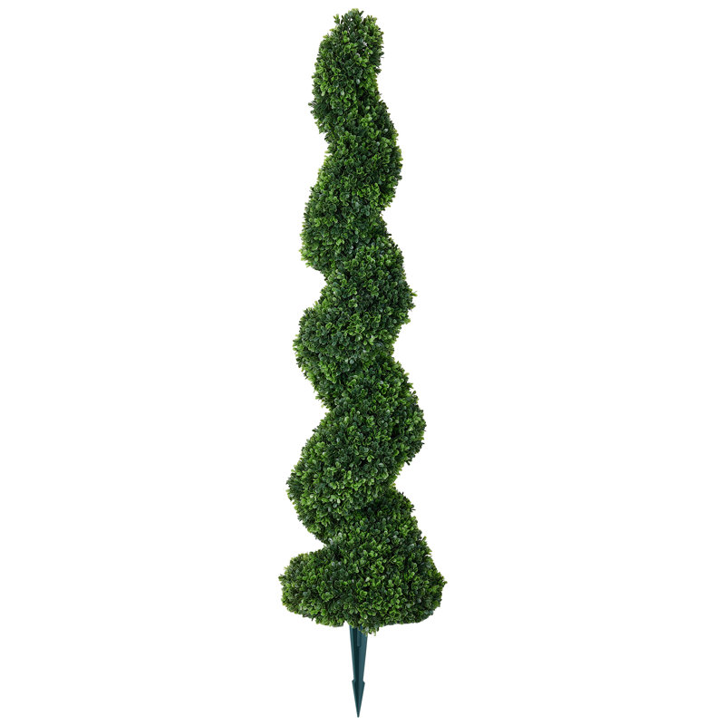 Topiaire en spirale de buis Ashwell, 1
