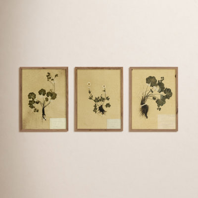 "Petite Study Triptych" by Hannah Winters
