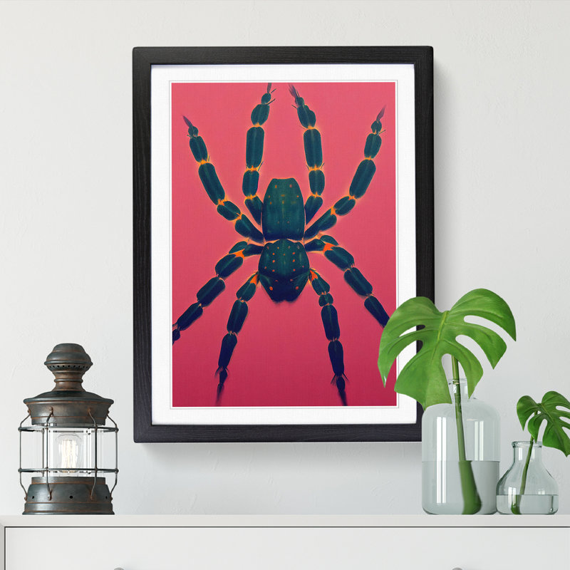 Spider - Single Picture Frame Painting, 34cm H x 25cm W x 2cm D, Oak