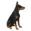 Statue de chien Doberman pinscher assis