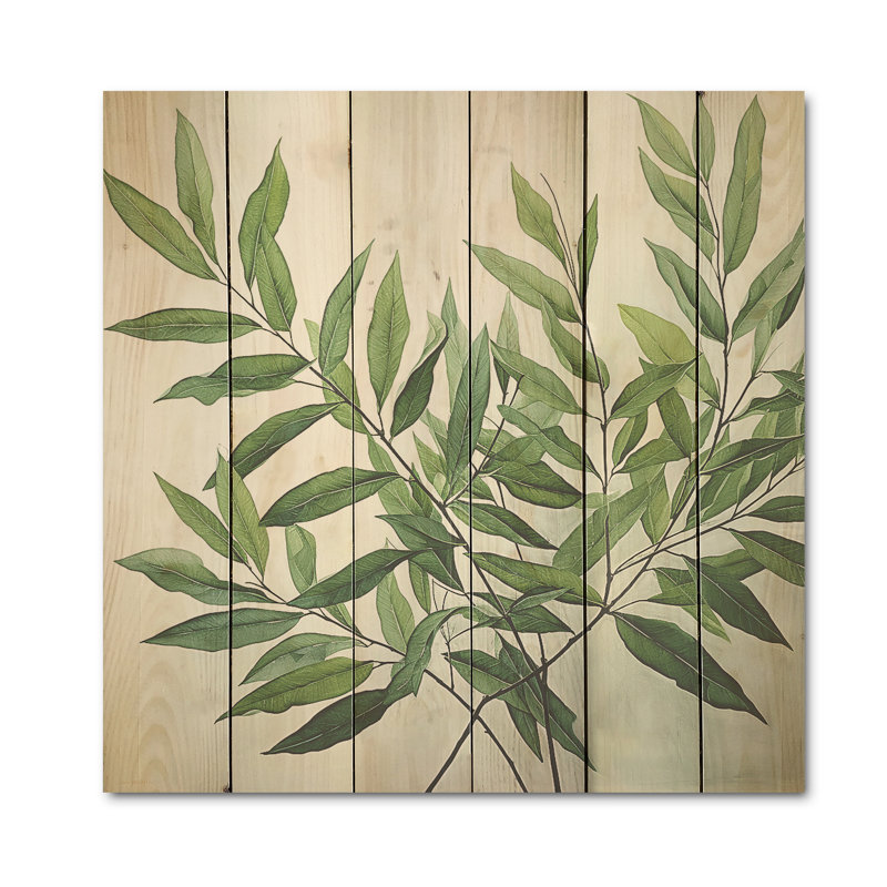 Olive, contour minimaliste, feuilles, feuillage I - feuilles, art mural sur bois de pin naturel, H 30 po x l 30 po