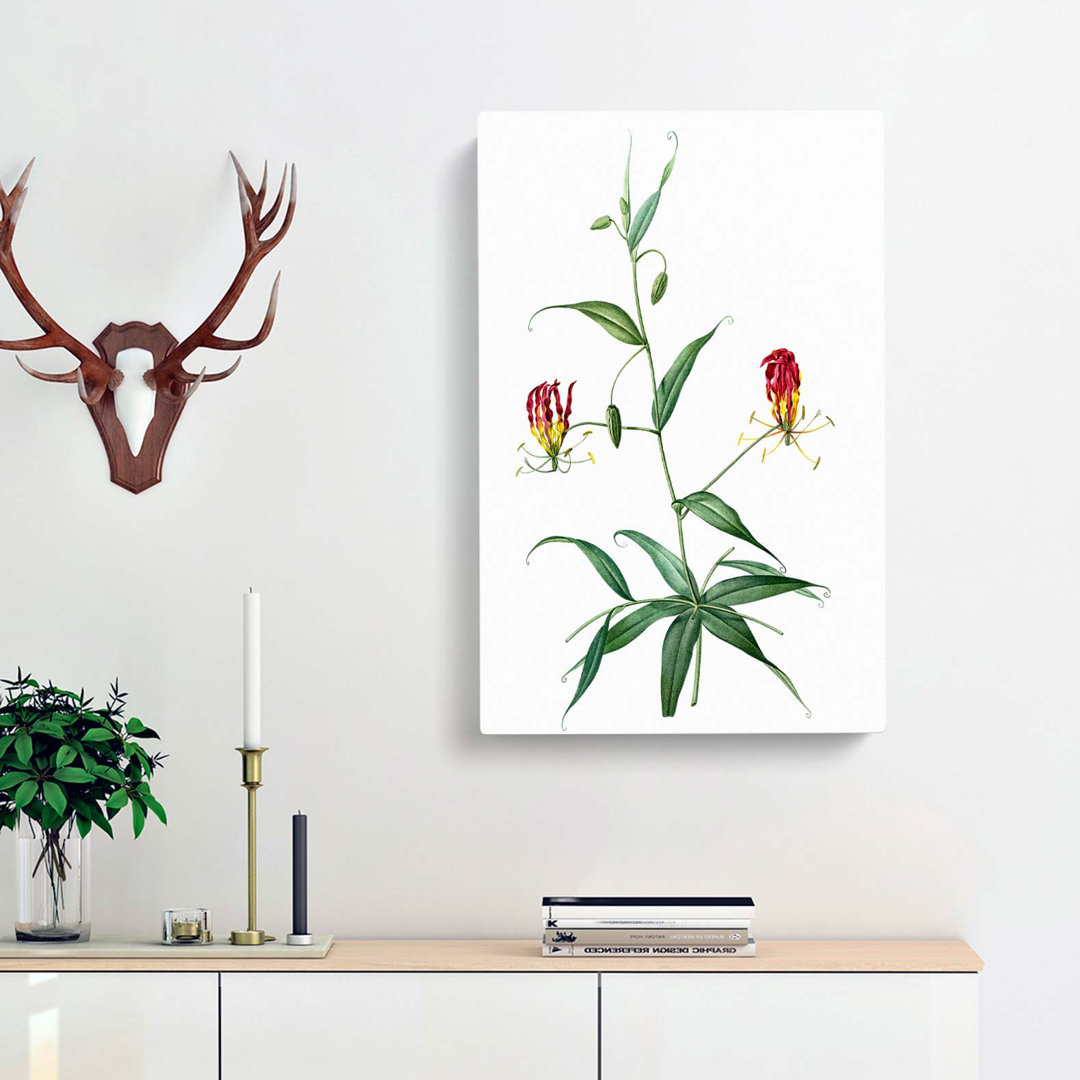 Flame Lily Flowers by Pierre-Joseph Redoute - Wrapped Canvas