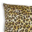 Rudy Square Pillow Cover & Insert-848061746