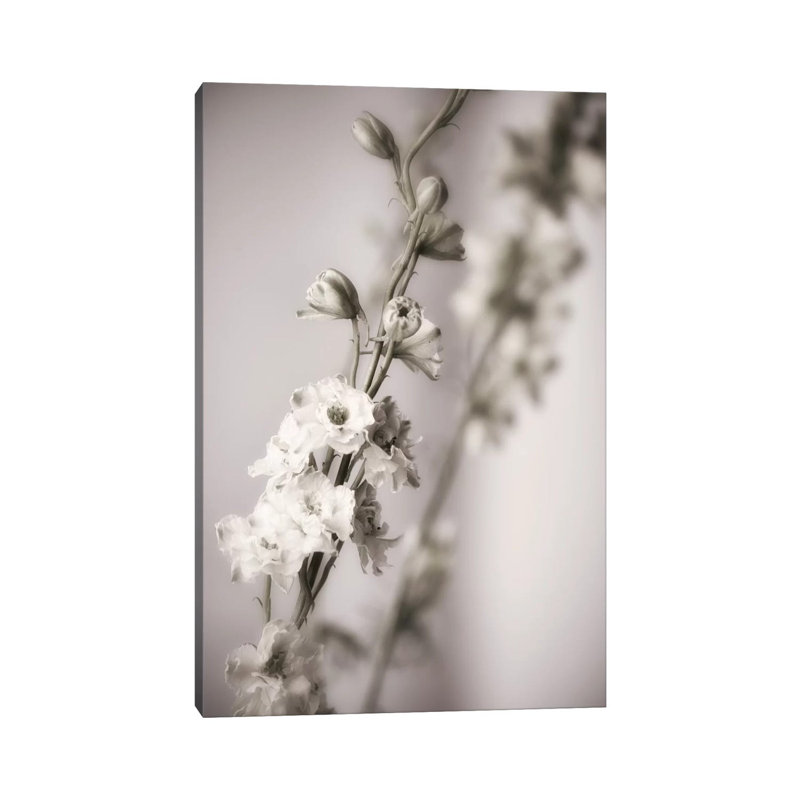 Jardin d'Argent I 1 Piece Wrapped Canvas Wall Art, 30.48 cm H x 45.72 cm W