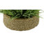 Gazon artificiel 8 po dans un panier-1972723835-1972723833-1941322100