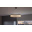 Danica 1-Light Chandelier
