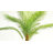 7ft Artificial Palm Tree