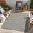 Lecresha Indoor / Outdoor Rug