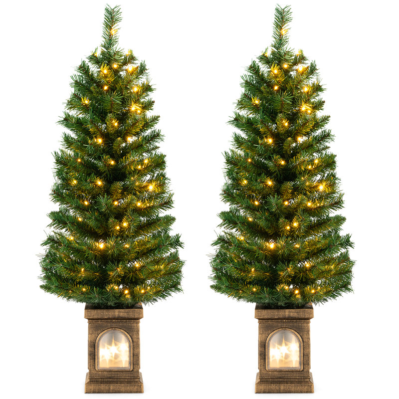 Lighted Christmas Tree