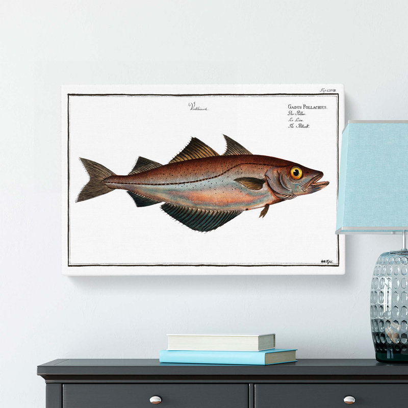 Pollock Fish by M.E. Bloch - Wrapped Canvas Print, 40cm H x 60cm W x 3cm D