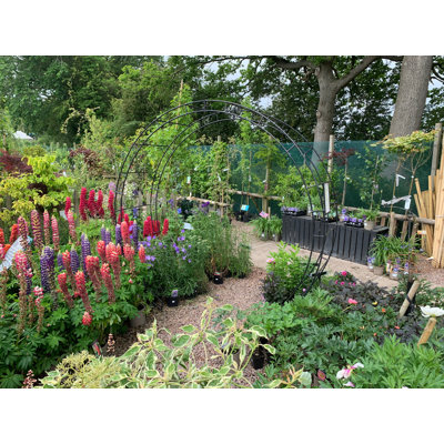 Baela 238.8cm W x 66cm D Arbour