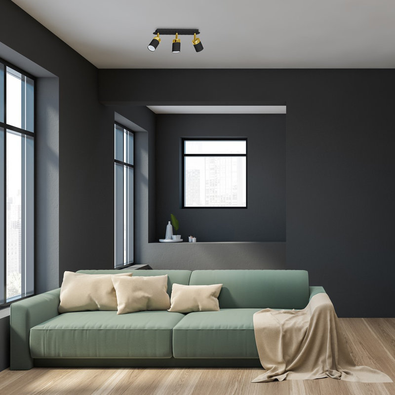 Breidy Spotlight, Black/Gold