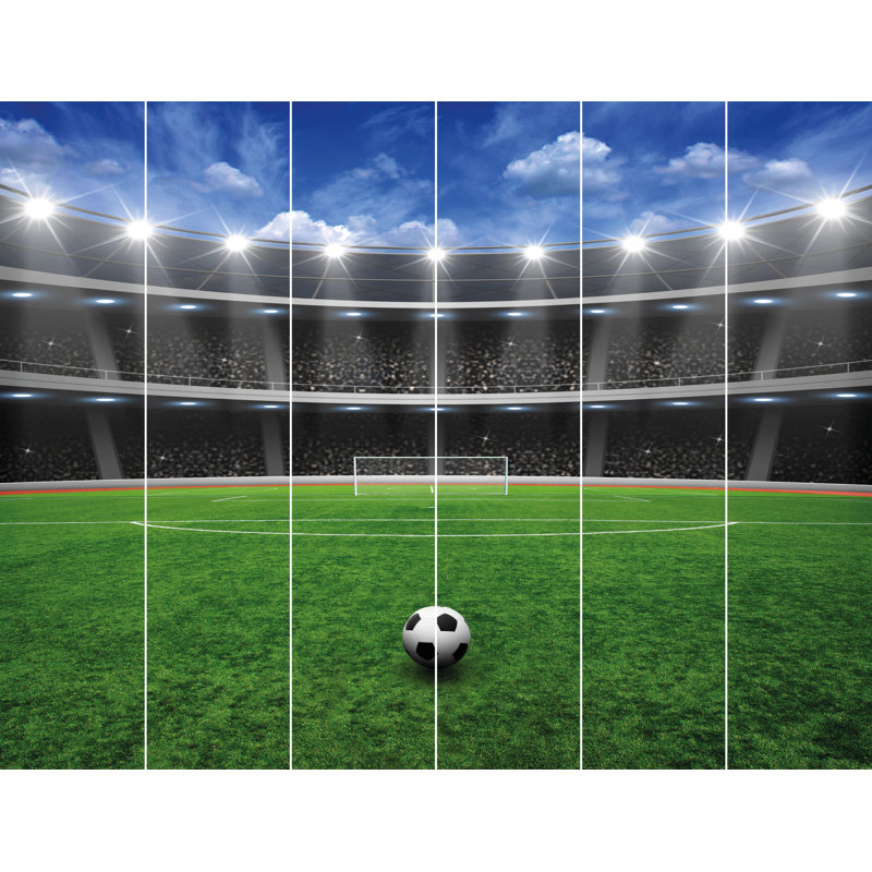 6 Pieces Football Crazy 3.05m x 2.44m Matte Wall Mural