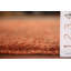 Orange Moroccan Oriental Area Rug 4x6