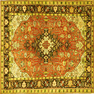 Washable Oriental Indoor Rug