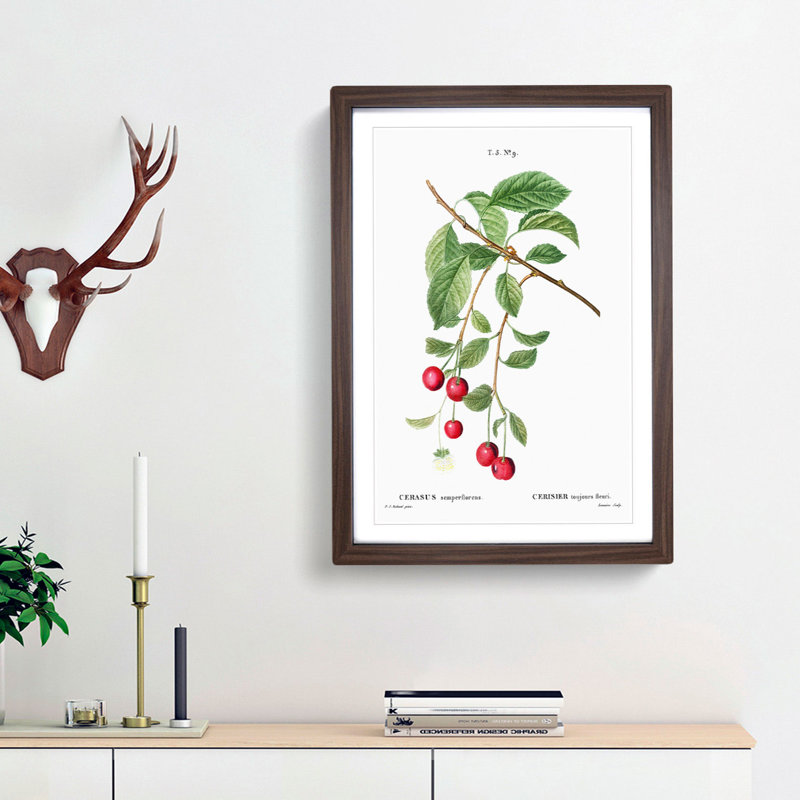 Cherry Tree Branch by Pierre-Joseph Redoute - Picture Frame Painting Print, Walnut Framed, 65cm H x 48cm W x 2cm D