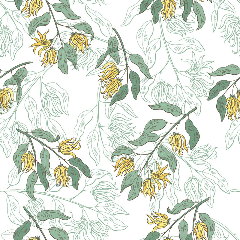 Cansas Matte Wallpaper Roll, 312 x 219cm