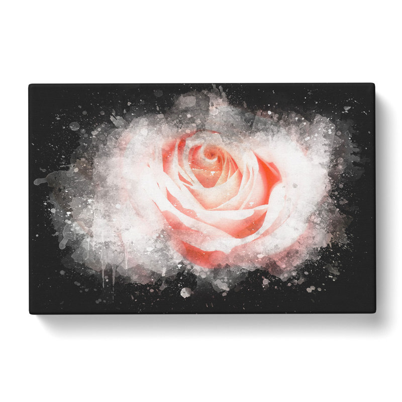 Pale Pink Rose - Wrapped Canvas Painting Print, 35cm H x 50cm W x 3cm D