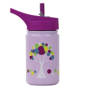 EcoVessel SPLASH Tritan Plastic Kids Water Bottle with Straw Leak