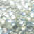 Transparent / bleu foncé / bleu clair