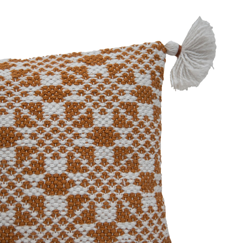 Fringed Outdoor Throw Pillow