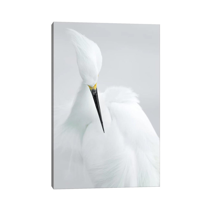 White Beauty 1 Piece Wrapped Canvas Wall Art, 30.48 cm H x 45.72 cm W