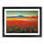 Black Framed selected
