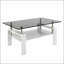 Table basse moderne moderne avec plateau en verre trempé et panneau de fibres à densité moyenne, parfaite pour les salons élégants-134270114-134270115