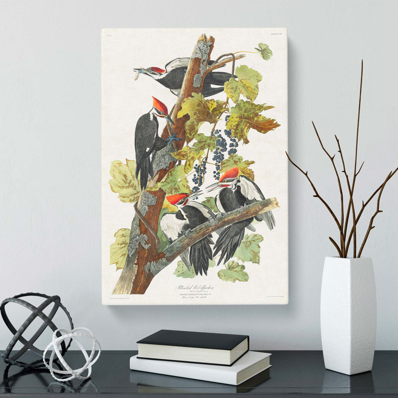 Pileated Woodpeckers by John Audubon - Wrapped Canvas, 60cm H x 40cm W x 3cm D