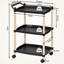 Glormarie Wood Bar Cart