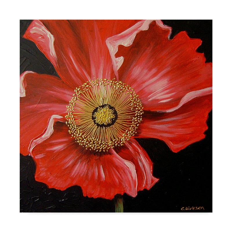 «Red Poppy Over Black» par Cherie Roe Dirksen - reproduction sur toile, H 14 po x l 14 po x P 2 po