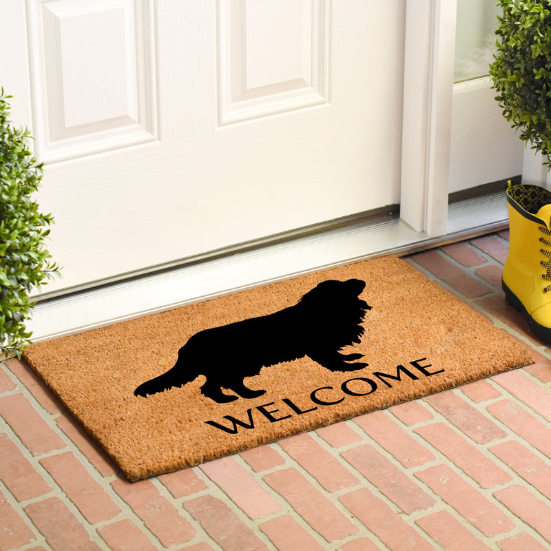 Tapis de porte pour l’extérieur antidérapant charles épagneul cavalier king Radele, L 0,6 po x l 36 po x P 24 po